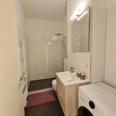 Bergapartment Mit Kamin Apartment *